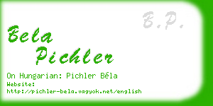 bela pichler business card